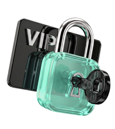 VIP Seviyesi